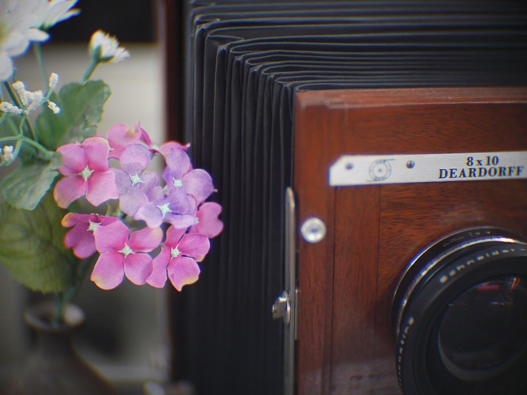 50/1.3 TV PRECISE GPTIGSBAY SHORE N.Y. (Japan) Sony E マウント APS-Cサイズ UVフィルター付 85%  Malik様Reservedの画像