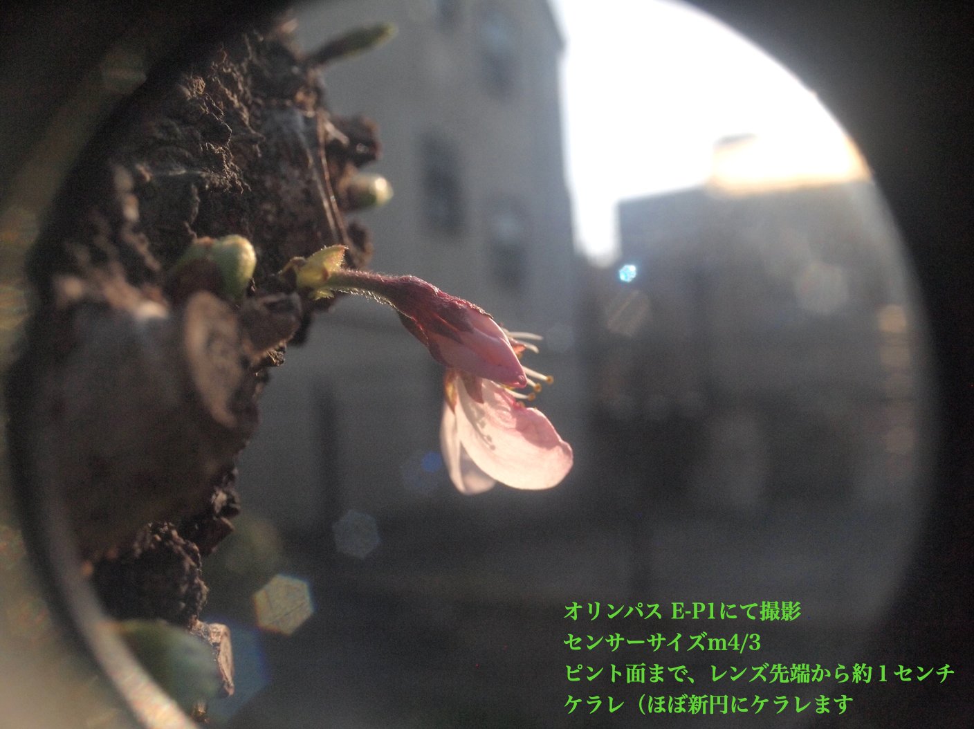 ☆超々接写レンズ 先端から1cm 〜 ∞   12.5/2.5 SPECIAL Grand Angle KINOPTIK (PARIS) Cマウント  前後キャップ付  の画像