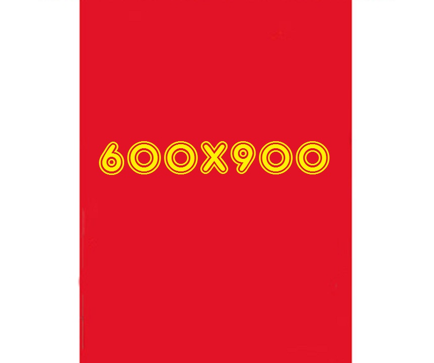 EVE 泥除けゴム 600×900 レッドの画像