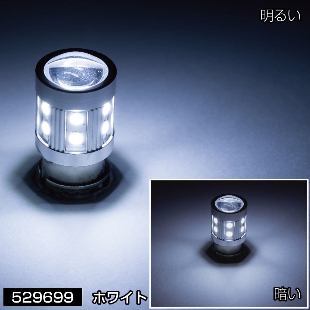 LC-01 LEDハイパワー ソケット式バルブNEO　ダブル球タイプの画像