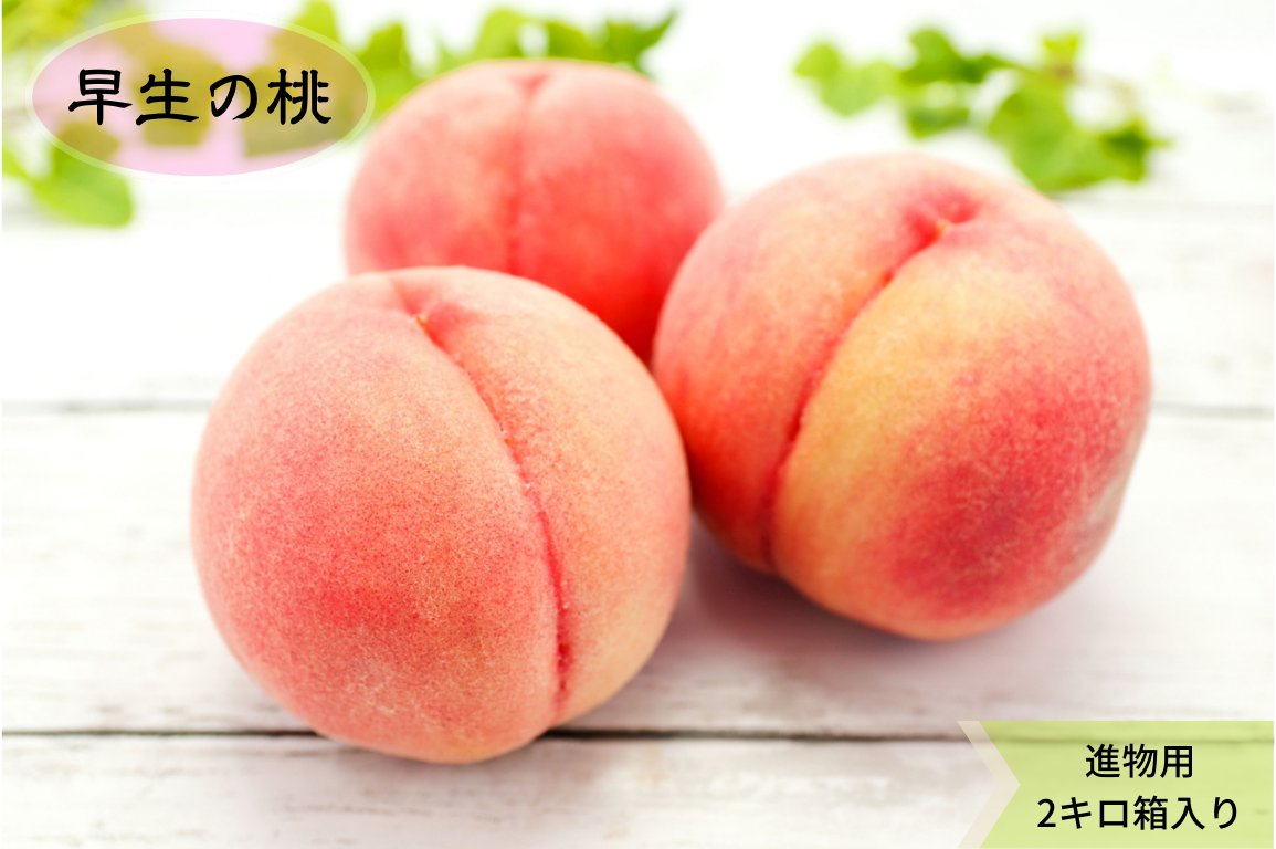 あら川の桃　早生品種（6月半ば～７月上旬頃）贈答、進物用2kg箱　送料込み！の画像