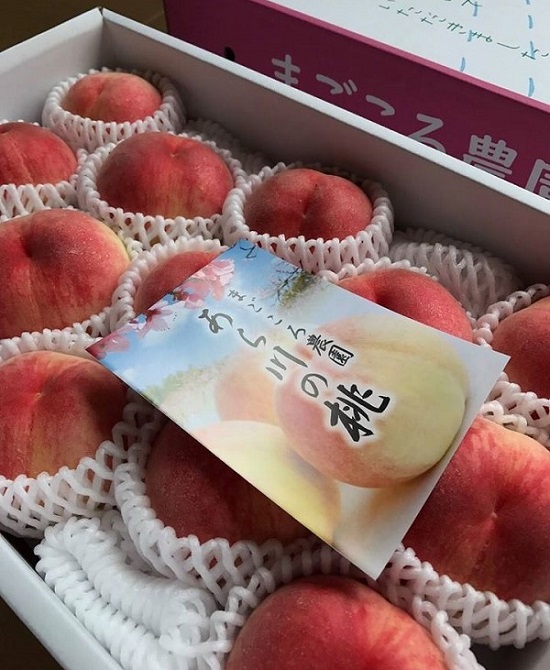 あら川の桃　川中島白桃（７月下旬8月以降）贈答、進物用4kg箱　送料込み！の画像