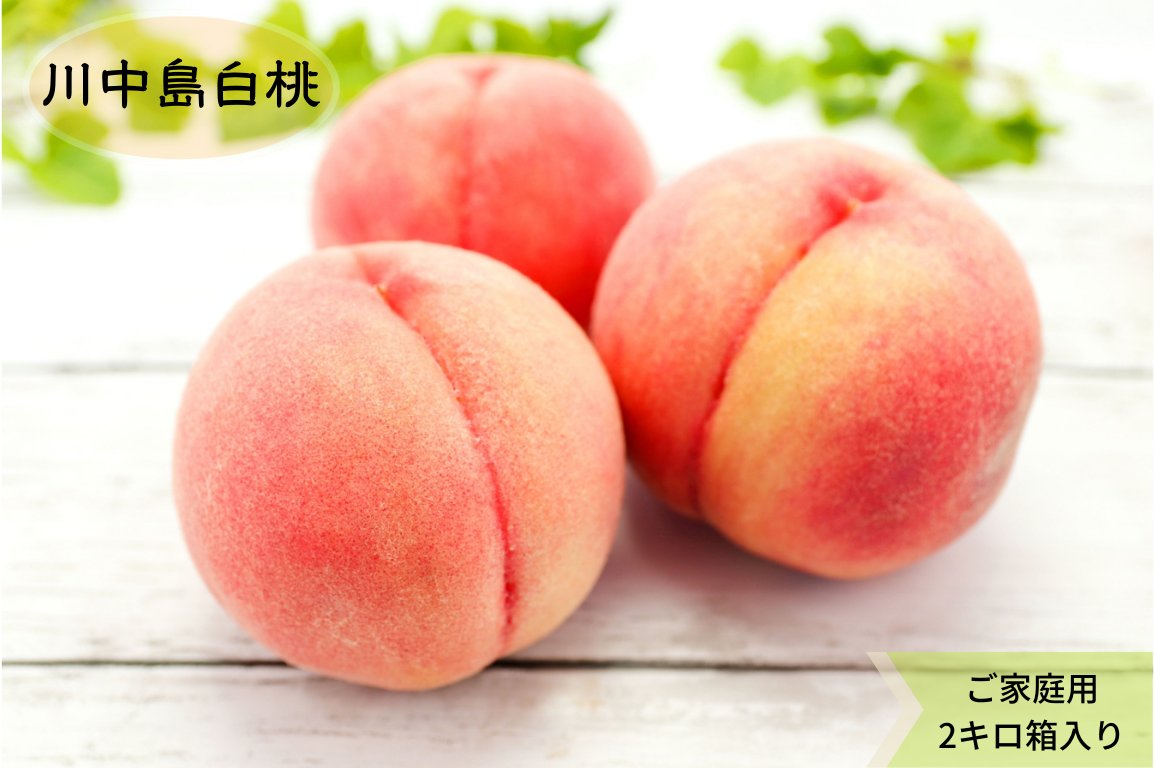 あら川の桃　川中島白桃（７月下旬8月以降）訳あり2kg箱　送料込み！の画像