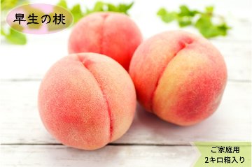 あら川の桃　早生品種（６月半ば～７月上旬頃）（訳あり）2kg箱　送料込み！の画像