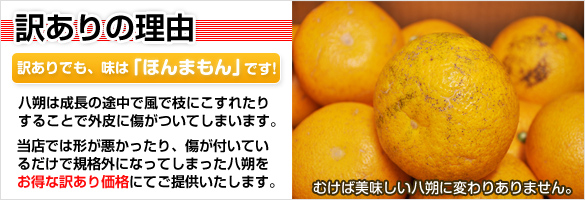 訳あり八朔（1月中下旬以降発送予定）10キロ箱　送料込み！の画像