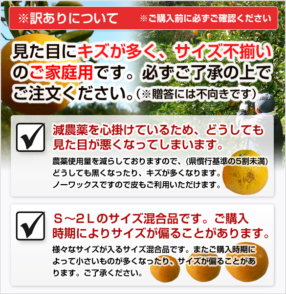 訳あり八朔（1月中下旬以降発送予定）10キロ箱　送料込み！の画像