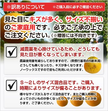 訳あり八朔（1月中下旬以降発送予定）10キロ箱　送料込み！の画像