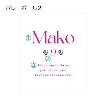 バレーボール2の画像