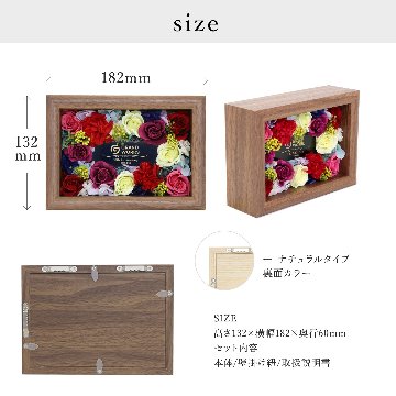  Florence mini -フローレンスミニ-の画像