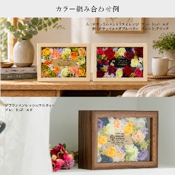  Florence mini -フローレンスミニ-の画像