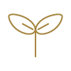新規会員登録キャンペーン