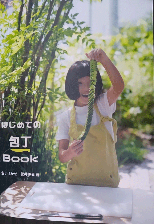 ☆送料込み☆はじめての包丁book（菅井美幸 著）の画像
