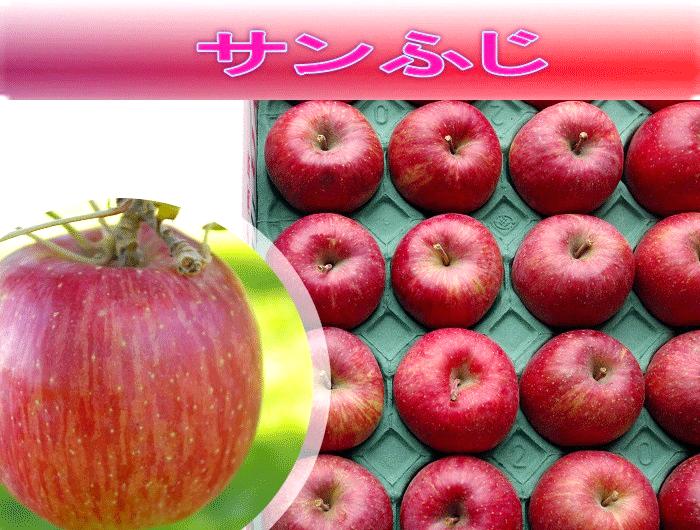 サンふじ　Mサイズ　5ｋの画像