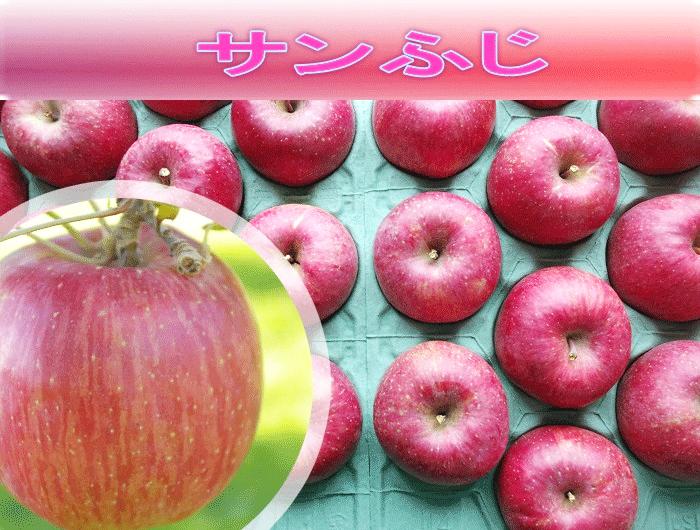 サンふじ　2Lサイズ　10ｋの画像