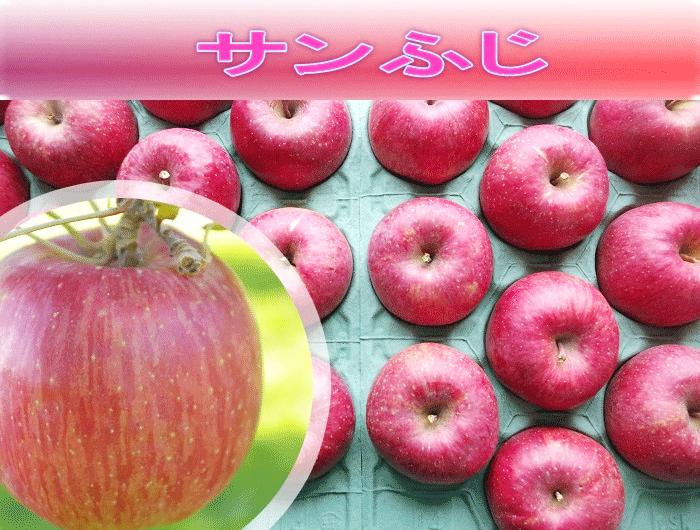 サンふじ　3Lサイズ　10ｋの画像