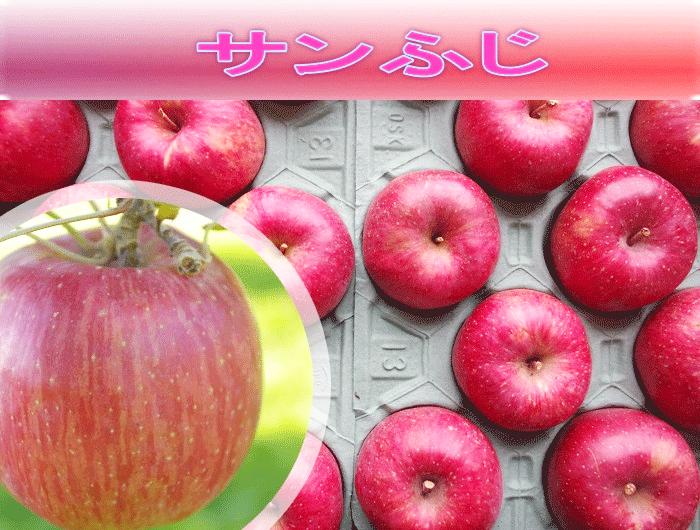 サンふじ　4Lサイズ　10ｋの画像