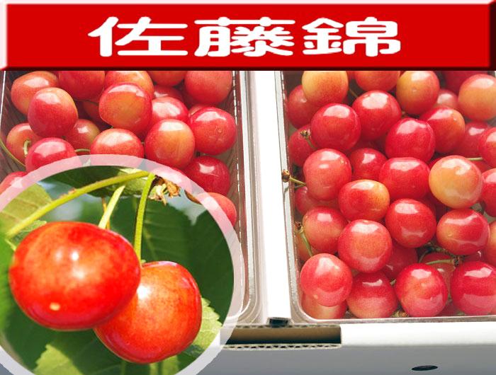 佐藤錦　Lサイズ　1ｋｇの画像