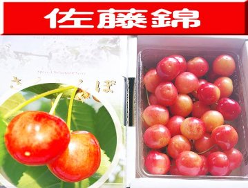 佐藤錦　2Lサイズ　500ｇの画像
