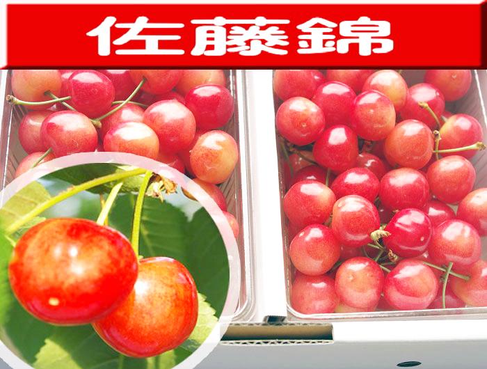 佐藤錦　2Lサイズ　1ｋｇの画像