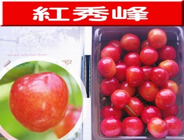 紅秀峰　2Lサイズ　500ｇの画像