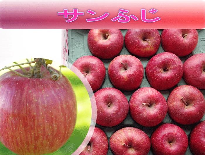 サンふじ　Ｌサイズ　５ｋの画像
