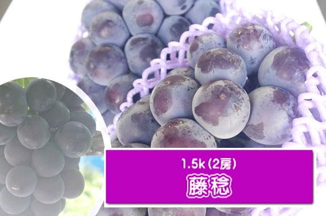 藤稔　1.5ｋの画像