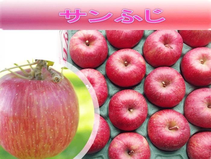 サンふじ　2Lサイズ　５ｋの画像