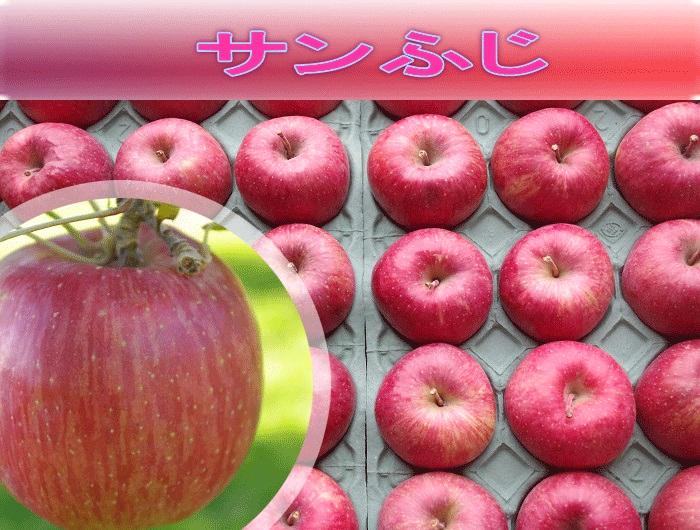 サンふじ　Mサイズ　10ｋの画像