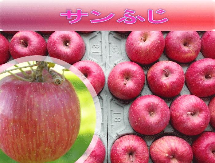 サンふじ　Lサイズ　10Kの画像