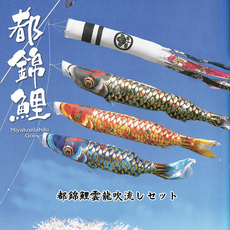 都錦鯉 雲龍吹流し6点セット