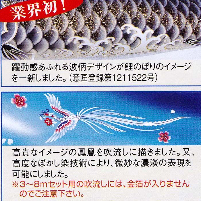 旭天竜　３ｍ翔勇鯉のぼりポール付きガーデンセット画像