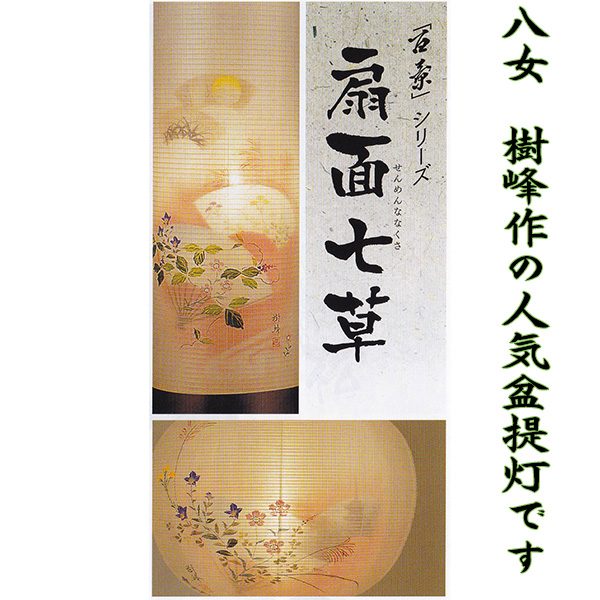 樹峰作　絹張 桜 扇面七草二重対柄提灯　１０畳タイプ画像