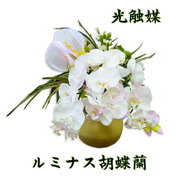 ルミナス　アレンジ胡蝶蘭は光触媒を使用したお初盆の御供品です。