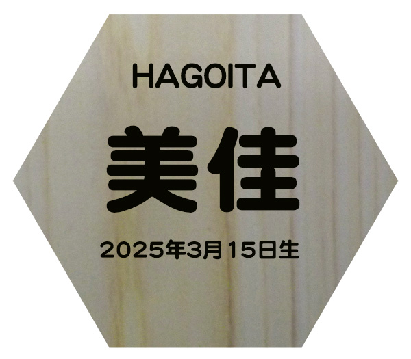 六角お名前札進呈