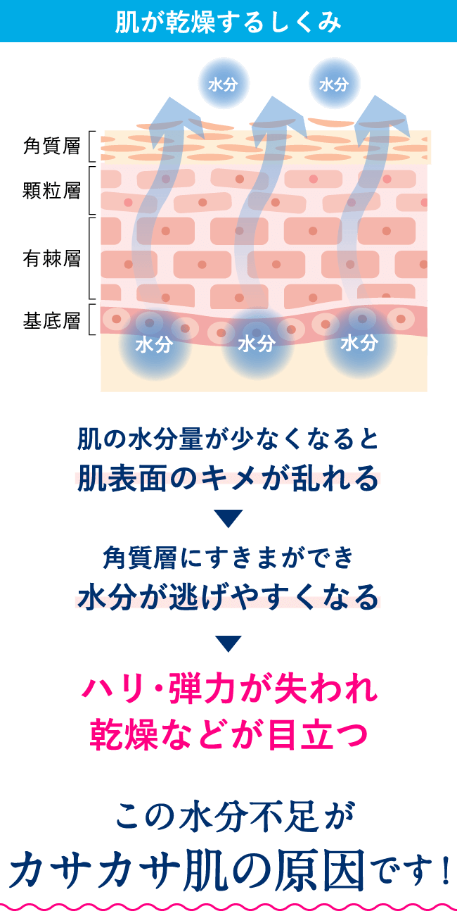 肌が乾燥するしくみのイラスト。肌の水分量が少なくなると肌表面のキメが乱れる。角質層にすきまができ水分が逃げやすくなる。ハリ・弾力が失われ乾燥などが目立つ。この水分不足がカサカサ肌の原因です!
