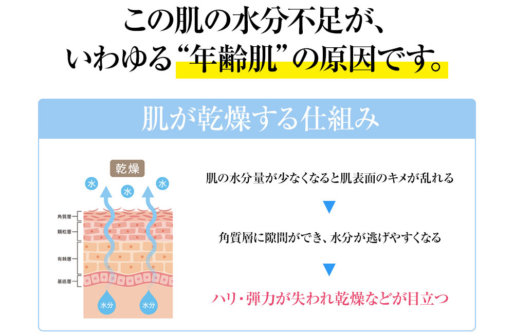 この肌の
