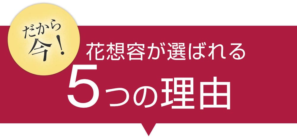 5つの理由