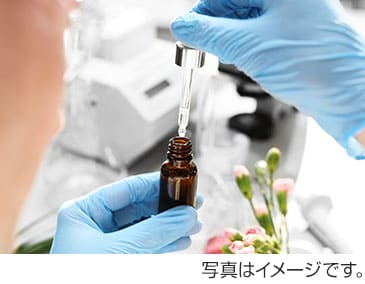 イメージ写真