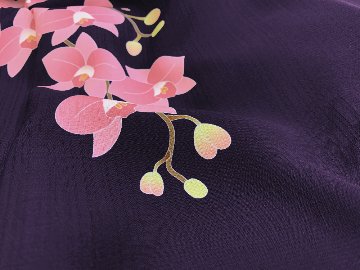 胡蝶蘭・紫紺＜夏のきもの・浴衣＞画像