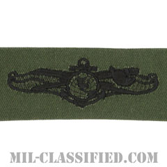 Enlisted Information Dominance Warfare Specialist [サブデュード/生地テープパッチ]の画像