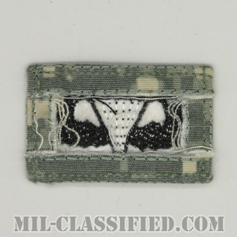 空挺章 (ベーシック)（Parachutist Badge, Basic）[UCP（ACU）/パッチ/中古1点物]の画像