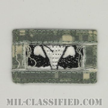 空挺章 (ベーシック)（Parachutist Badge, Basic）[UCP（ACU）/パッチ/中古1点物]の画像