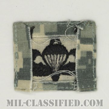 空挺章 (シニア)（Parachutist Badge, Senior）[UCP（ACU）/パッチ/中古1点物]画像