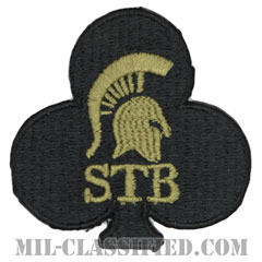 第101空挺師団第1旅団戦闘団特殊部隊大隊（Special Troops Battalion, 1st BCT, 101st Airborne Div）[OCP/ヘルメット用/パッチ]の画像