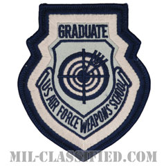 アメリカ空軍兵器学校教官（US Air Force Weapons School Instructor）[カラー（ABU）/メロウエッジ/縫い付け用パッチ]の画像