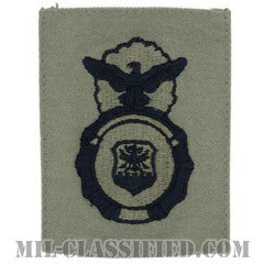 空軍警備隊章 (セキュリティーフォース章)（Security Forces Badge）[ABU/パッチ]画像
