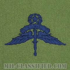 自由降下章 (マスター) （Military Freefall Parachutist Badge, HALO, Jumpmaster）[サブデュード/ブルー刺繍/パッチ]の画像