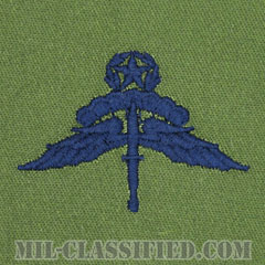 自由降下章 (マスター) （Military Freefall Parachutist Badge, HALO, Jumpmaster）[サブデュード/ブルー刺繍/パッチ]画像