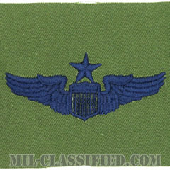 航空機操縦士章 (シニア・パイロット)（Pilot Badge, Senior）[サブデュード/ブルー刺繍/パッチ]画像