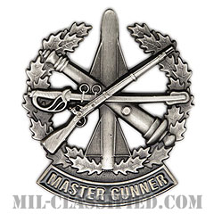 マスター砲手章 (マスターガンナー)（Master Gunner）[カラー/燻し銀/バッジ]の画像